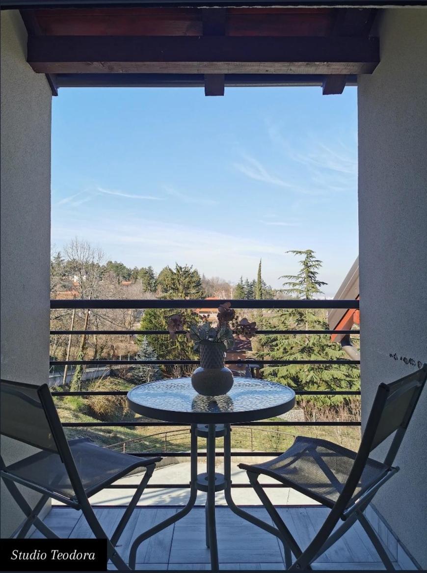 Vila Una Fruska Gora Novi Sad Exterior foto